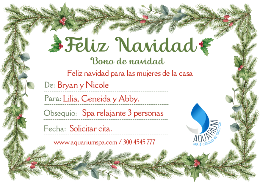 Bono Navidad 11
