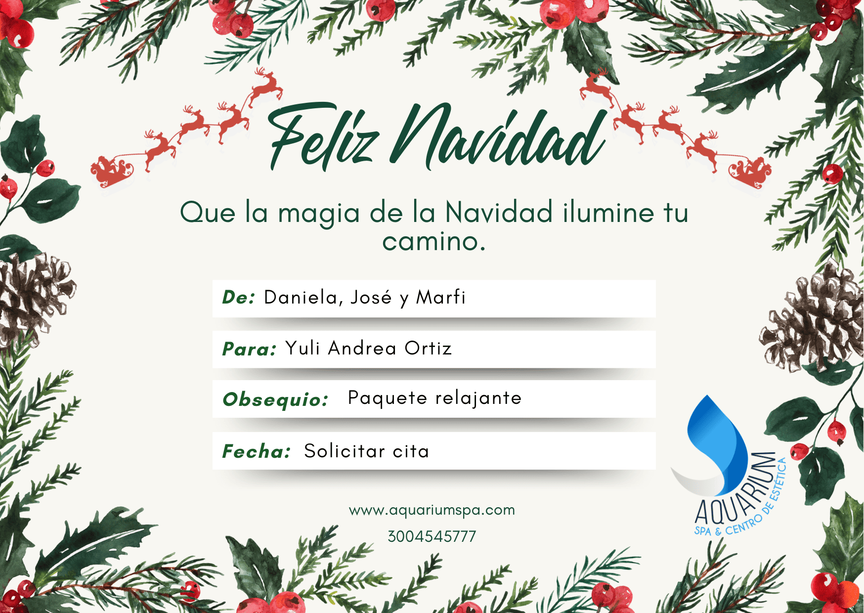 Bono Navidad 14