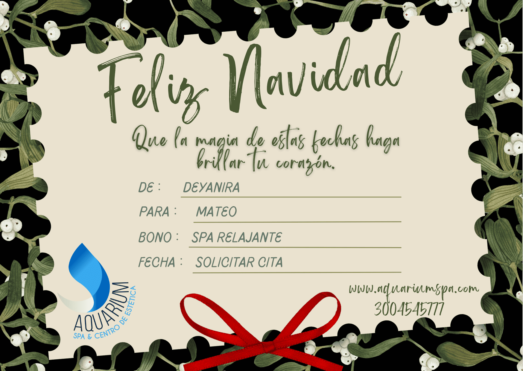 Bono Navidad 25