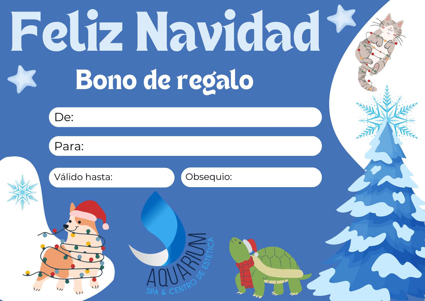 Bono Navidad 8